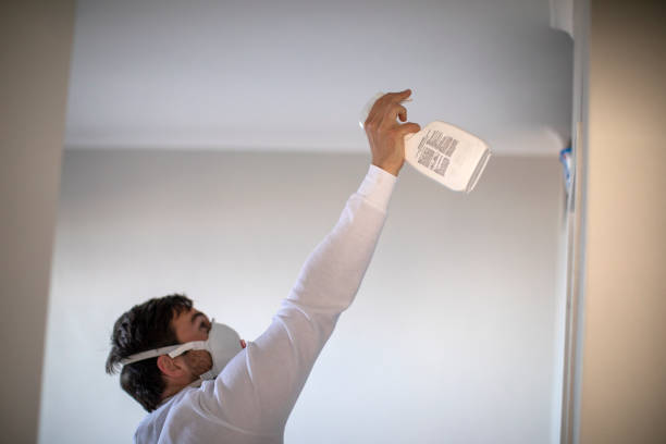 Best Attic Mold Removal  in Gustine, CA