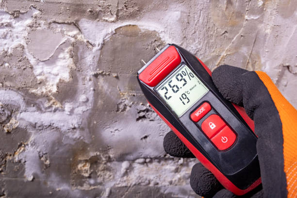 Best Mold Testing  in Gustine, CA
