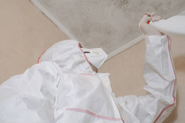 Best Crawl Space Mold Removal  in Gustine, CA